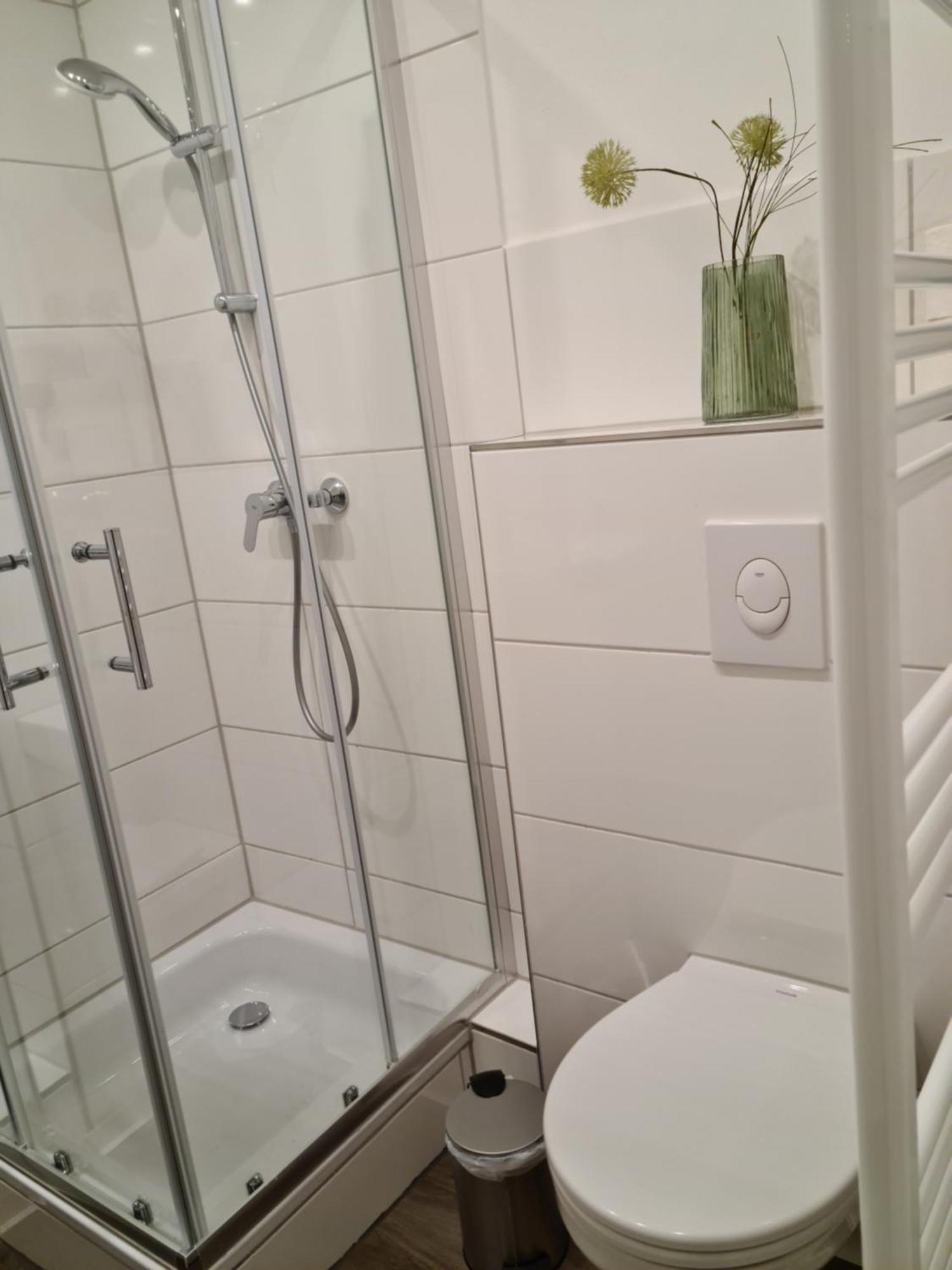 Pilgrims "Hagrid" 2 Sz, Balkon, Kueche, Bad, Top Wifi Brilon Eksteriør bilde